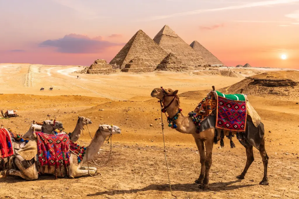 Egipt cu TST Turistik